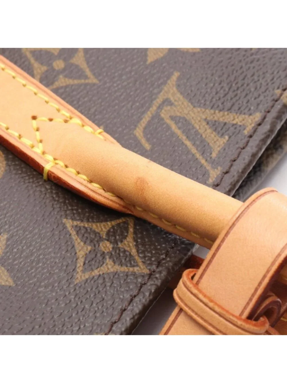 Louis Vuitton Tote Raspail PM Canvas Leather